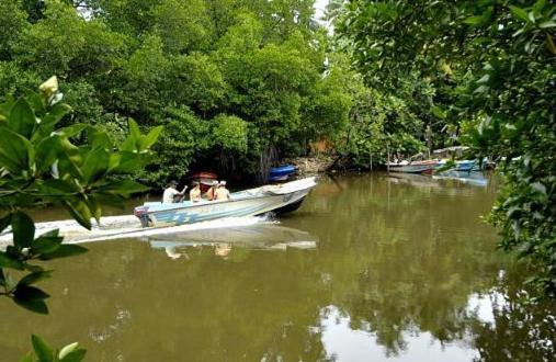 Riverdale Eco Resort Beruwala Dış mekan fotoğraf