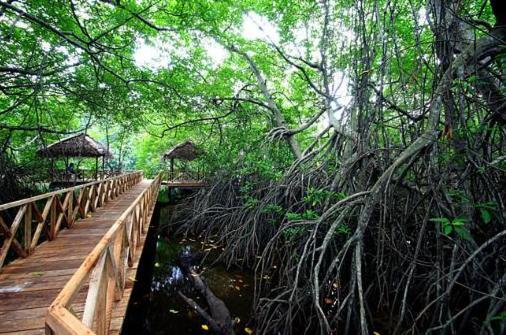Riverdale Eco Resort Beruwala Dış mekan fotoğraf